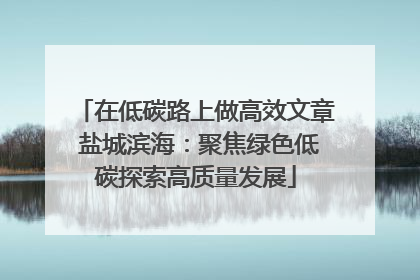 在低碳路上做高效文章 盐城滨海：聚焦绿色低碳探索高质量发展