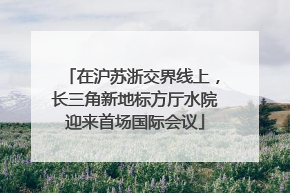 在沪苏浙交界线上，长三角新地标方厅水院迎来首场国际会议