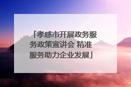 孝感市开展政务服务政策宣讲会 精准服务助力企业发展