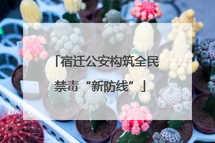 宿迁公安构筑全民禁毒“新防线”