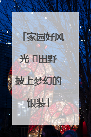 家园好风光 ⎮田野披上梦幻的银装