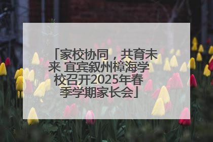 家校协同，共育未来 宜宾叙州樟海学校召开2025年春季学期家长会