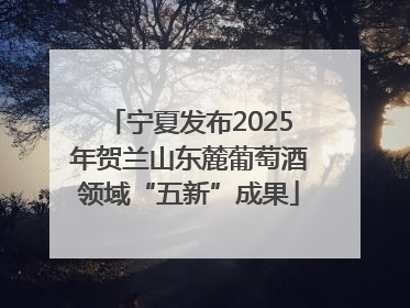 宁夏发布2025年贺兰山东麓葡萄酒领域“五新”成果