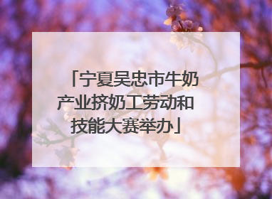 宁夏吴忠市牛奶产业挤奶工劳动和技能大赛举办