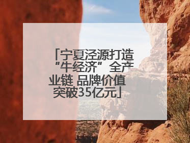 宁夏泾源打造“牛经济”全产业链 品牌价值突破35亿元