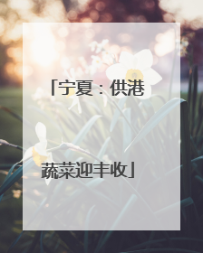 宁夏：供港蔬菜迎丰收