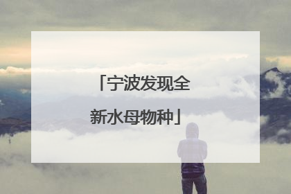 宁波发现全新水母物种