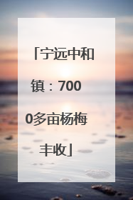 宁远中和镇：7000多亩杨梅丰收