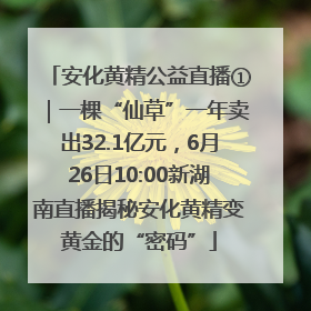 安化黄精公益直播①｜一棵“仙草”一年卖出32.1亿元，6月26日10:00新湖南直播揭秘安化黄精变黄金的“密码”