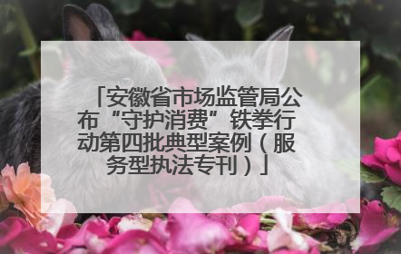 安徽省市场监管局公布“守护消费”铁拳行动第四批典型案例（服务型执法专刊）