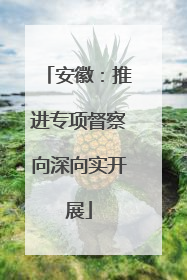 安徽：推进专项督察向深向实开展