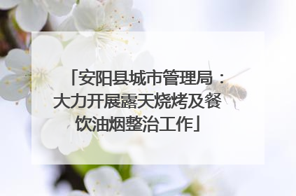 安阳县城市管理局：大力开展露天烧烤及餐饮油烟整治工作