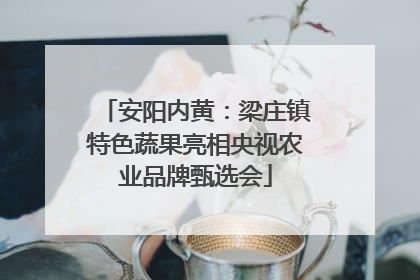安阳内黄：梁庄镇特色蔬果亮相央视农业品牌甄选会