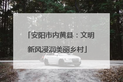 安阳市内黄县：文明新风浸润美丽乡村