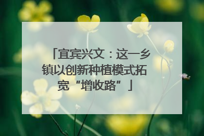 宜宾兴文：这一乡镇以创新种植模式拓宽“增收路”