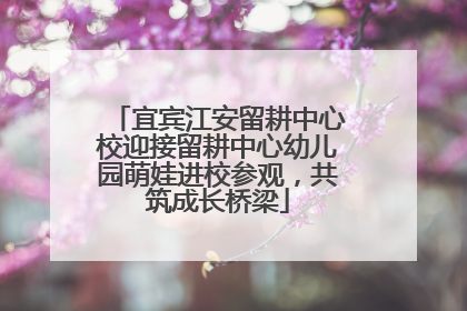 宜宾江安留耕中心校迎接留耕中心幼儿园萌娃进校参观，共筑成长桥梁
