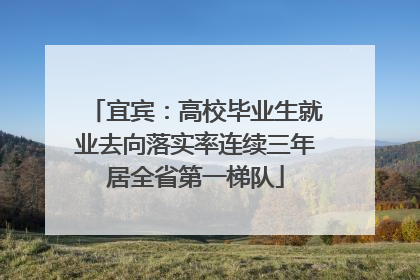 宜宾：高校毕业生就业去向落实率连续三年居全省第一梯队
