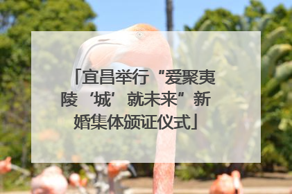 宜昌举行“爱聚夷陵‘城’就未来”新婚集体颁证仪式