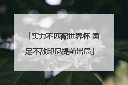 实力不匹配世界杯 国足不敌印尼提前出局