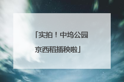 实拍！中坞公园京西稻插秧啦