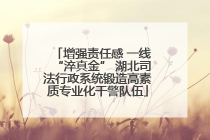 增强责任感 一线“淬真金” 湖北司法行政系统锻造高素质专业化干警队伍