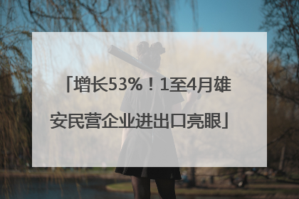 增长53%！1至4月雄安民营企业进出口亮眼