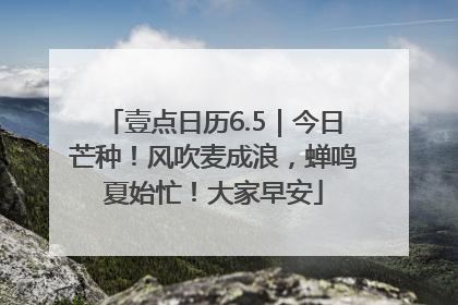 壹点日历6.5｜今日芒种！风吹麦成浪，蝉鸣夏始忙！大家早安