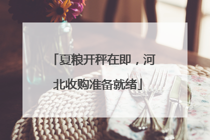 夏粮开秤在即，河北收购准备就绪