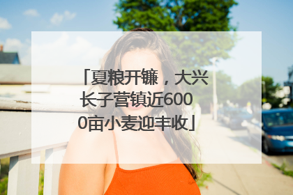 夏粮开镰，大兴长子营镇近6000亩小麦迎丰收