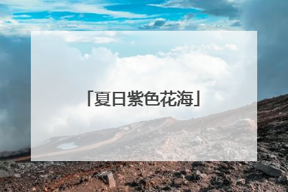 夏日紫色花海