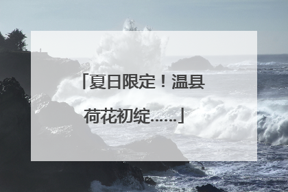 夏日限定！温县荷花初绽……