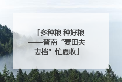 多种粮 种好粮——晋南“麦田夫妻档”忙夏收