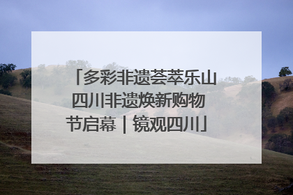多彩非遗荟萃乐山 四川非遗焕新购物节启幕｜镜观四川