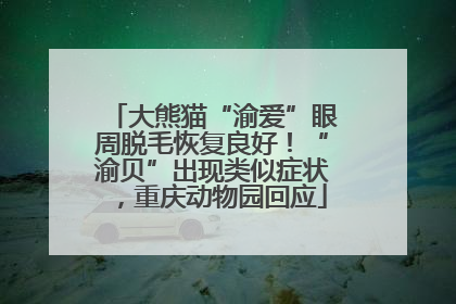 大熊猫“渝爱”眼周脱毛恢复良好！“渝贝”出现类似症状，重庆动物园回应