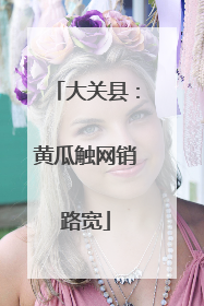 大关县：黄瓜触网销路宽