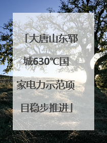 大唐山东郓城630℃国家电力示范项目稳步推进