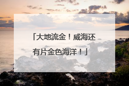大地流金！威海还有片金色海洋！