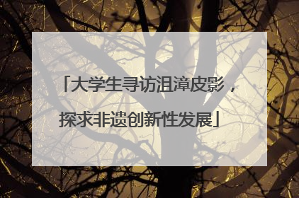 大学生寻访沮漳皮影，探求非遗创新性发展