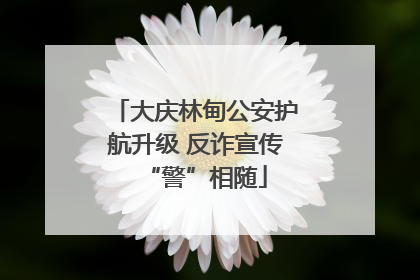 大庆林甸公安护航升级 反诈宣传“警”相随