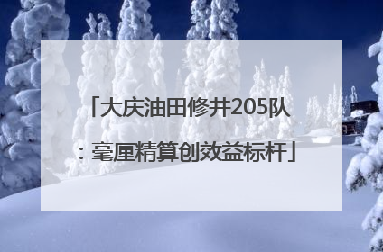 大庆油田修井205队：毫厘精算创效益标杆