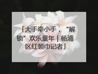 大手牵小手，“解锁”欢乐童年｜杨浦区红领巾记者