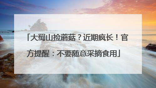 大蜀山捡蘑菇？近期疯长！官方提醒：不要随意采摘食用