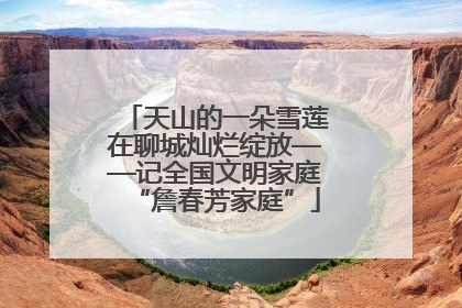天山的一朵雪莲在聊城灿烂绽放——记全国文明家庭“詹春芳家庭”