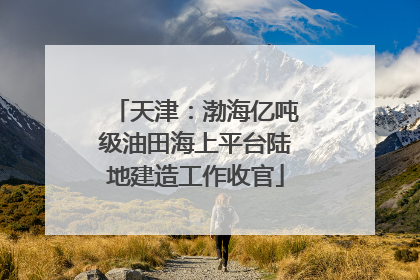 天津：渤海亿吨级油田海上平台陆地建造工作收官