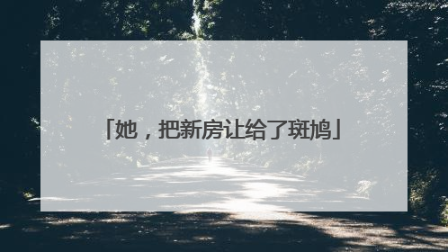 她，把新房让给了斑鸠