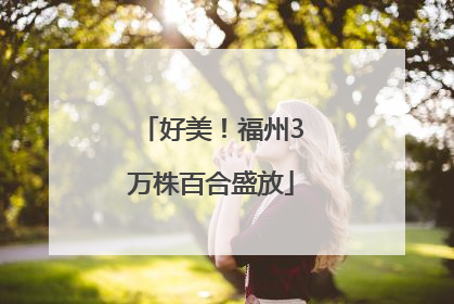 好美！福州3万株百合盛放