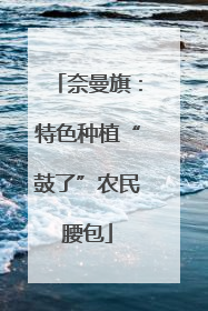 奈曼旗：特色种植“鼓了”农民腰包