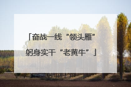 奋战一线“领头雁” 躬身实干“老黄牛”