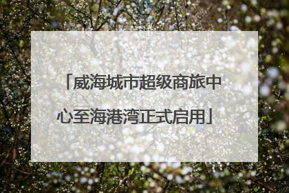 威海城市超级商旅中心至海港湾正式启用