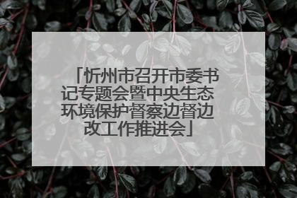 忻州市召开市委书记专题会暨中央生态环境保护督察边督边改工作推进会